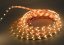 LEDTEC LED Strip sideview 24VDC/4,8W,3000°K,Nr.0025120105