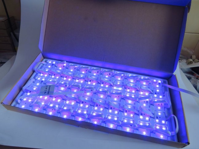 Deko Light/Kapego LED Modul RGB 12VDC/0,72W, IP44,50 Stück,Nr.43211