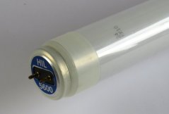 LUSTRA Leuchtstofflampe HIL5600,20W,600mm,CRI95