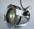 STEINIGKE/EUROLITE Pinspot PAR 36/ML-36,6V-35W, inkl.LM, Nr.41600155